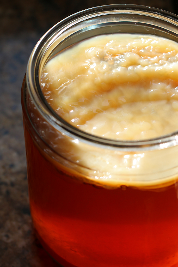 baby-scoby1